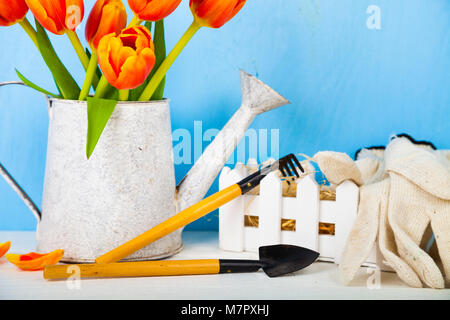 Garden tools and bouquet of tulips on the table. Getting ready for planting vegetables. Stock Photo