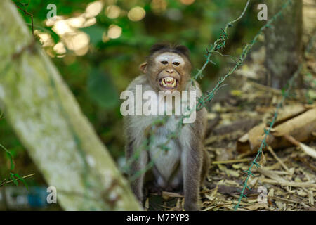 smile please Stock Photo