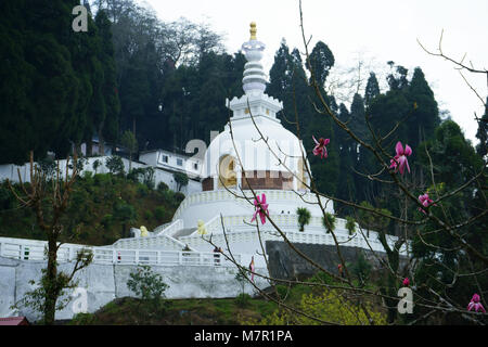 Japanese Peace Pagoda, Darjeeling, West Bengal, India Stock Photo