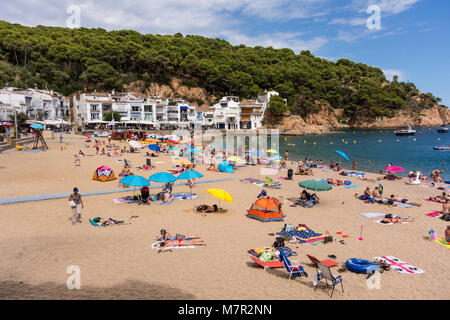 People enjoying summer sun on the beach of Tamariu Bay, Baix Emporda, Catalonia Stock Photo