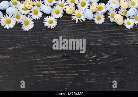 Easter eggs and daisies on dark wooden background Stock Photo