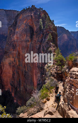 Angels Landing Walk,Zion National Park,Utah,USA Stock Photo