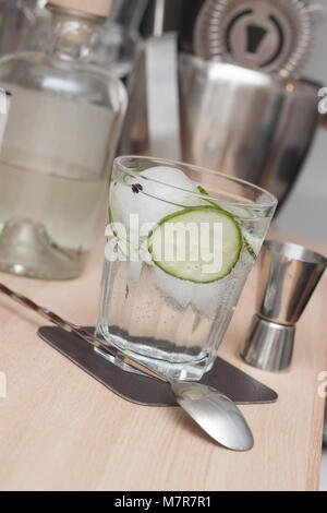 fresh gin tonic with cucumber and pepper Stock Photo