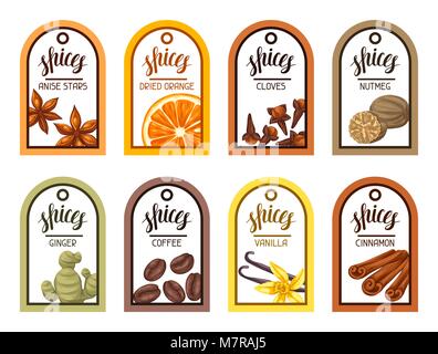 Tags with various spices. Illustration of anise, cloves, vanilla, ginger and cinnamon Stock Vector