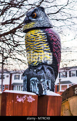 Owl on the fence Stock Photo