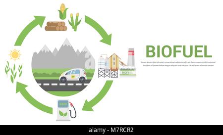 Biofuel Life Cycle, Biomass Ethanol From Corn, Sugarcane, Wood, Flat Design Vector Concept Illustration . Isolated on the White Background. Stock Vector