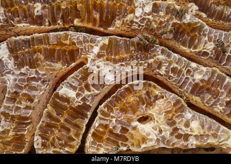 Close up view of honey filled honeycells and working bees Stock Photo