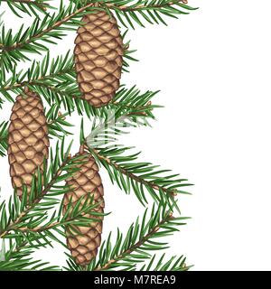 Seamless border with fir branches and cones. Detailed vintage illustration Stock Vector