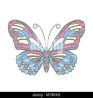 Vector illustration of color butterfly on white background Stock Vector