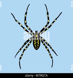 Vector illustration of spider. Argiope bruennichi on blue background Stock Vector