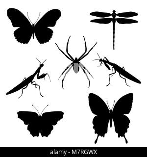 Vector set of silhouettes of insects - butterflies, spider, mantises, dragonfly. Insect silhouette Stock Vector