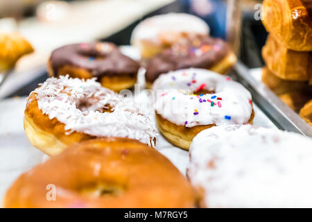 White glaze iced donuts with rainbow sprinkles, coconut flakes on tray in fresh bakery store shop deep fried vanilla Stock Photo