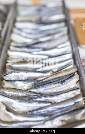 Closeup of many anchovies sardines small raw scales skin fish in seafood market shop display tray Stock Photo