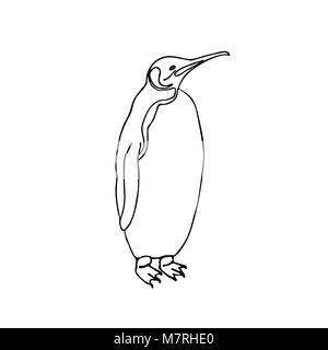 Vector sketch illustration emperor penguin. Stock Vector