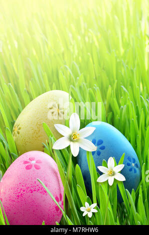 Painted Easter eggs in a green grass on a meadow and flowers. Happy Easter. Stock Photo