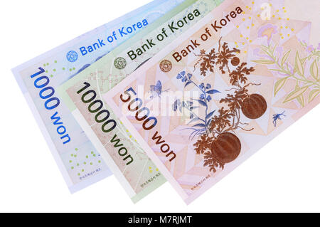 Set of Korean Won currency bills isolated on a white background. Stock Photo