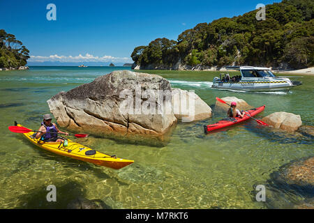 Kayakers and water taxi, Mosquito Bay, Abel Tasman National Park, Nelson Region, South Island, New Zealand (model released) Stock Photo