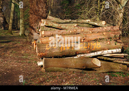 A pile of sawn and trimmed logs with Do Not Climb handwritten notice awaiting collection at Ranworth, Norfolk, England, United Kingdom. Stock Photo