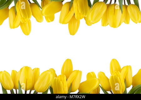 floral border frame of yellow tulips on white background isolated Stock Photo
