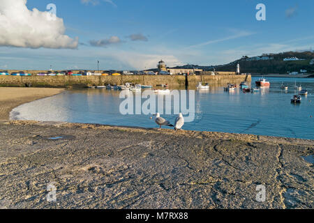Seagulls on harbour wall and Smeatons Pier, St. Ives, Cornwall, England, UK Stock Photo
