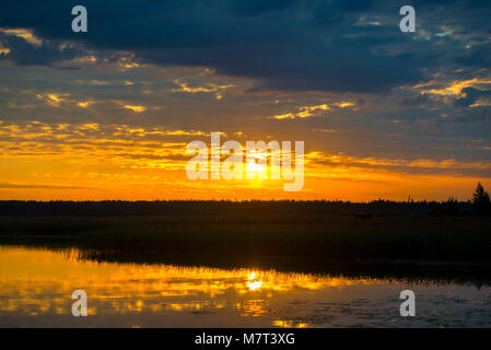 beautiful sunset - orange sun and sky above the forest by the lake in the backlight Stock Photo