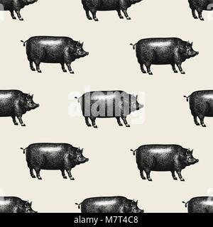 Seamless farm vector pattern. Graphical pig silhouette, hand drawn retro illustrations. Vintage farm animals background. Stock Vector