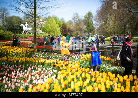 THE KEUKENHOF, THE NETHERLANDS - APRIL 23, 2017: The Keukenhof is the largest flower garden in the world with more than 7 million flowers in bloom. Hu Stock Photo