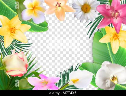 Summer Natural Floral Frame on Transparent Background Vector Illustration Stock Vector