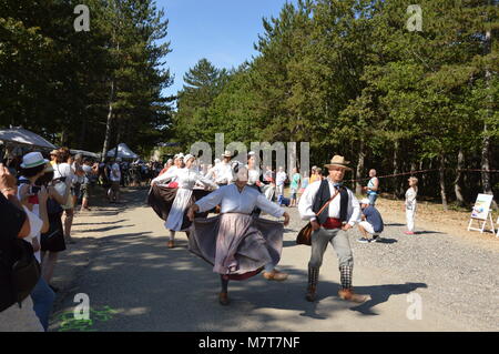 Zoom on the lavenders festival from the august 15 in Sault, France Stock Photo