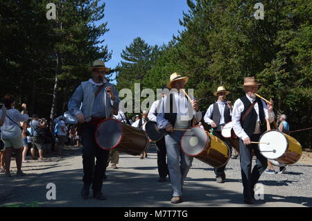 Zoom on the lavenders festival from the august 15 in Sault, France Stock Photo