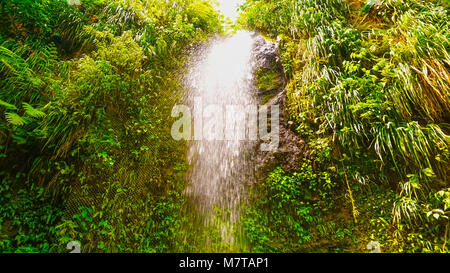 A waterfall at the Botanical Gardens in Saint Lucia Stock Photo