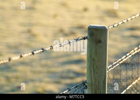 Barbed wire fence with wooden fence post Stock Photo