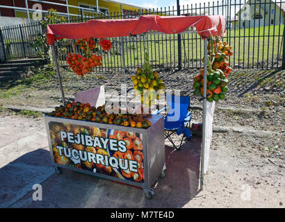 Fruit stand selling pejibayes, the fruit of Bactris dasipaes or the peach palm fruit. Costa Rica Stock Photo