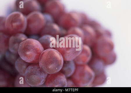Close-up of a bunch of red grapes on white background with shallow depth of field. Stock Photo