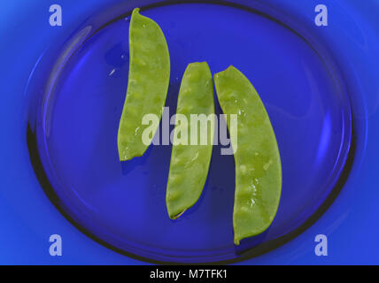 Close up of three freshly rinsed raw snap peas on blue glass plate for snack or as start to salad preparation Stock Photo