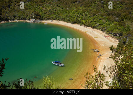 Water taxi at Te Pukatea Bay, Abel Tasman National Park, Nelson Region, South Island, New Zealand Stock Photo