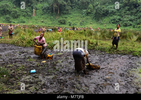 Congolese villagers fill their water supply from this Muddy pond. The only good water source they have. Stock Photo