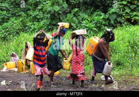 Congolese villagers fill their water supply from this Muddy pond. The only good water source they have. Stock Photo