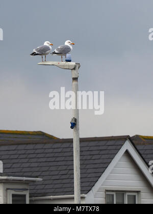 Sheerness, Kent, UK. 13th March, 2018. UK Weather: an overcast and quite warm morning in Sheerness with a few sunny spells. Credit: James Bell/Alamy Live News Stock Photo