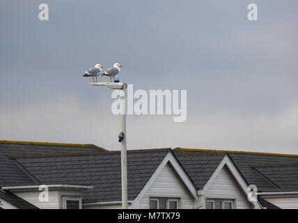 Sheerness, Kent, UK. 13th March, 2018. UK Weather: an overcast and quite warm morning in Sheerness with a few sunny spells. Credit: James Bell/Alamy Live News Stock Photo