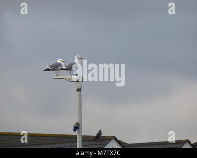 Sheerness, Kent, UK. 13th March, 2018. UK Weather: an overcast and quite warm morning in Sheerness with a few sunny spells. Credit: James Bell/Alamy Live News Stock Photo