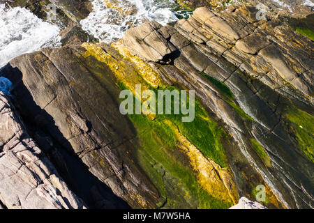 Beautiful texture on rock patterns background, Buzios, Brazil Stock Photo