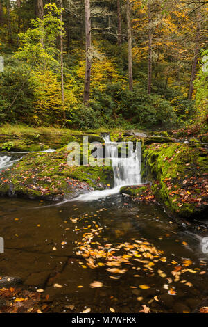 Fall foliage on Dingmans Creek, Delaware Water Gap National Recreation Area, Pennsylvania Stock Photo