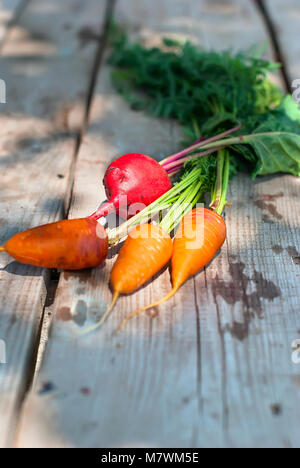 young carrots and beets with tops on a wooden table in the street. Natural food concept Stock Photo