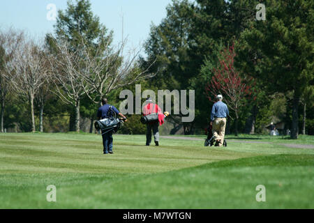 Three golfers walking down the fairway Stock Photo