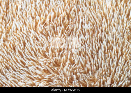 material with long pile as a background, texture of fabric Stock Photo