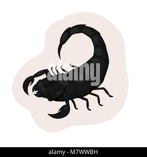 Black scorpion vector. Realistic illustration of a scorpio on white background Stock Vector