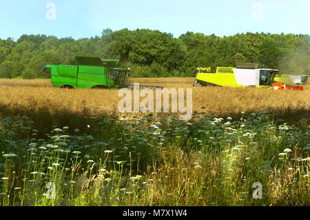 two agricultural machines operate in the field, agricultural land, ain harvesting machines operate in the field Stock Photo