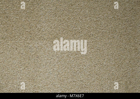 Multi small pebbles texture or background Stock Photo