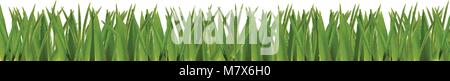 Green realistic grass horizontal border isolated on white background. Spring or summer vector Illustration, template, clip art, design element for gre Stock Vector
